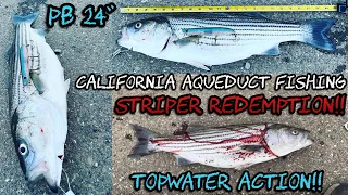 California Aqueduct Fishing 2022 - STRIPER REDEMPTION - TOPWATER ACTION - Slipped Into Water - CRAZY