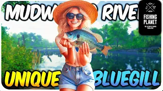 *Updated* How to catch Unique Bluegill on Mudwater River - Fishing Planet 2024
