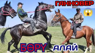 УЛУКТА ГАННОВЕР☝️ДОНЧАК😱ПАЙ~ПАЙ~ПАЙ 👍👍👍