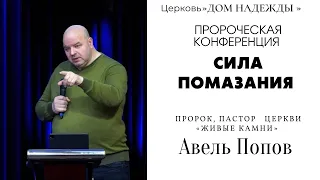 АВЕЛЬ ПОПОВ !