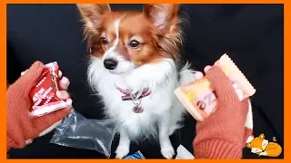 [ASMR] Crinkle Assortment (No talking)