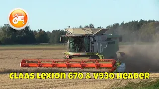 Harvest 2020 | Claas Lexion 670 combine with V930 header