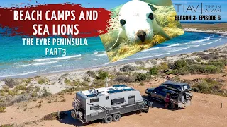 BOGGED IN THE DUNES & SWIMMING WITH SEALS - THE EYRE PENINSULA - PART 3 | Arno Bay to Port Lincoln