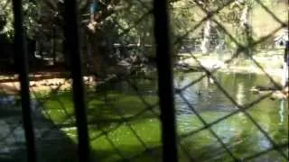 Долина птиц в Агадире/Valley of the birds, Agadir