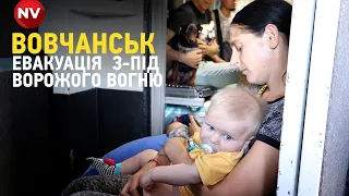 5 км від Росії: евакуація населення з-під ворожого вогню у Вовчанську