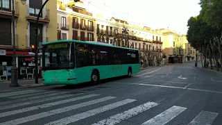 Nuevo transporte autobuses Murcia (3) Alameda de Colón - Murcia 07/12/2021