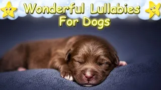 Sleep Music For Dogs And Puppies ♫ Calm Your Dog Effectively ♥ A Soothing Lullaby For Dogs