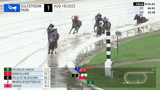 Gulfstream Park Carrera 1 - 18 de Agosto 2023