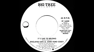 1977 England Dan & John Ford Coley - It’s Sad To Belong (mono radio promo 45)