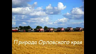 Природа Орловского края