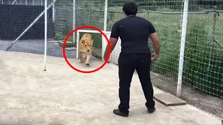 Esse Leão Passou 7 Anos sem Ver Seu Dono... Olha o Que Aconteceu