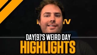 [Highlight] Day[9]'s Weird Day