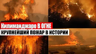 КРУПНЕЙШИЙ ПОЖАР НА ГОРЕ КИЛИМАНДЖАРО | катаклизмы за день, событие дня, месть природы