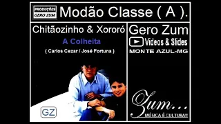 Chitãozinho & Xororó - A Colheita - Gero_Zum...