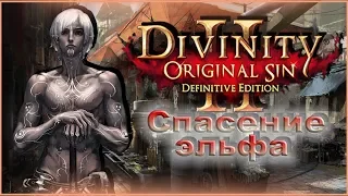 Divinity: Original Sin 2 – Спасение эльфа