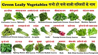 हरे पत्ते वाली सब्जियां सब्जियों के नाम | Green Leafy Vegetables Names | Green Vegetables List |