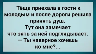 Зять в Ванной Подглядывает за Тещей! Сборник Свежих Анекдотов! Юмор!