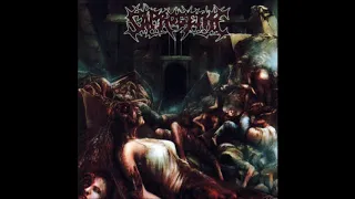 Saprogenic - Dripping Metaphilia