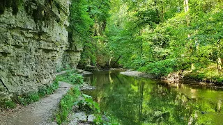 Die Wutachschlucht - ein Wanderabenteuer