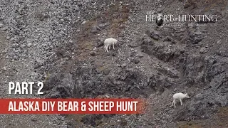 STALKED THE WRONG SHEEP! - Alaska DIY Bear & Sheep Hunt (Part 2 of 5)