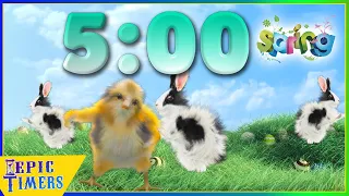 5 Minute Countdown Timer with a Dancing Spring Bunny & Chick!