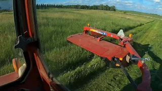 Cutting hay with the International 856 and New Holland 1411 discbine