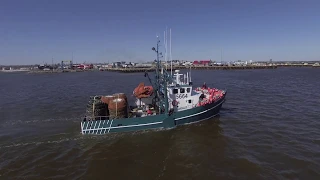 Lancement de la saison de pêche au crabe 2020