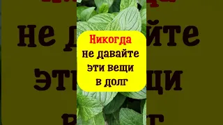 Никогда не давайте эти вещи в долг