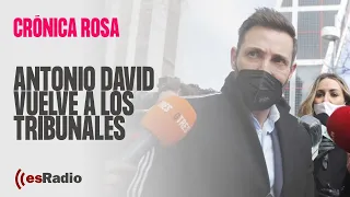 Crónica Rosa: Antonio David vuelve a los tribunales