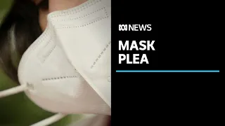 Doctors plead with Tasmanians to wear masks indoors to slow the spread of COVID | ABC News