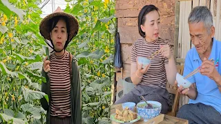 Building a Dovecote with Grandpa: Garden Delights of Cucumber Pickles | Ly Phuc Hang