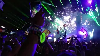 Armin van Buuren EDC Las Vegas 2018 Day 2