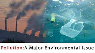 Pollution: A Major Environmental Issue