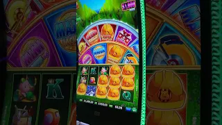 $360 BET Omg 😱 Huff N' Even More Puff (MASSIVE) #casino #gambling #viral