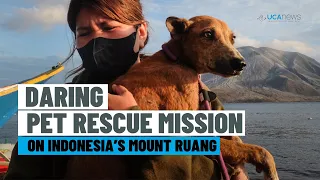 Rescuers mount daring mission to rescue pets from Mount Ruang
