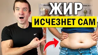 🔥 Как ПРОСТО сжечь жир на животе, ягодицах и руках ✅ Похудеть  по методу Андрея Лопеса