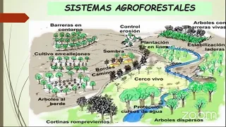 Diseño e implementación de sistemas agroforestales/ silvopastoriles (Aspectos de Relevancia)