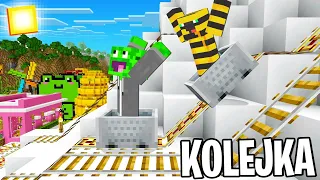 ZBUDOWAŁEM KOLEJKE GÓRSKĄ w Minecraft!