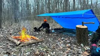 Camping with my dog under a Blue Home Depot Tarp | MORNING RAIN