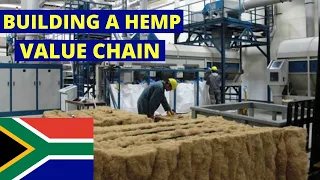 Building a Hemp value chain in South Africa