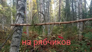 охота на рябчика Часть 1.