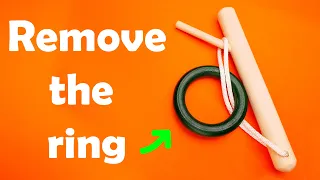 Remove the ring - Twig puzzle #shorts