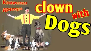 Цирковой номер с дрессироваными собаками "Комическая дрессура"/Clown with dogs/