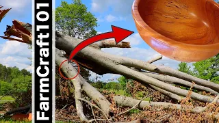 Turning a bowl from a 200 year old tree.  FarmCraft101