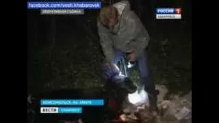 Вести-Хабаровск. Медведи разрывают могилы