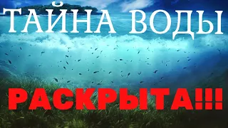 Тайна воды РАСКРЫТА !!! Документальный фильм 2020 спецпроект Рен ТВ