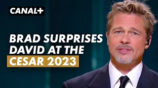 "I’m glad I was able to ambush him tonight!" Brad Pitt gives César 2023 of Honour to David Fincher