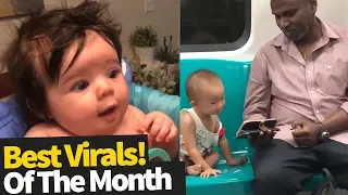 Top 40 Viral Videos Of the Month - June 2019