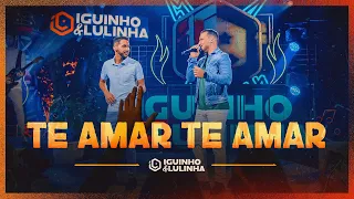 TE AMAR TE AMAR - Iguinho e Lulinha (DVD Eu Falei Forró)