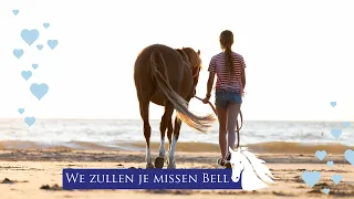 Afscheid van Bella nemen -pony verkopen- * Hart voor Paarden *